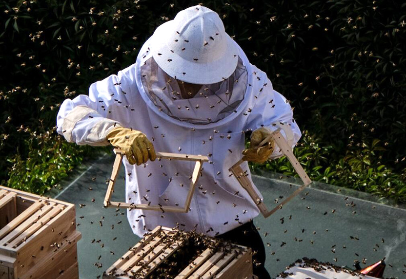 Stage show by Bees and Refugees