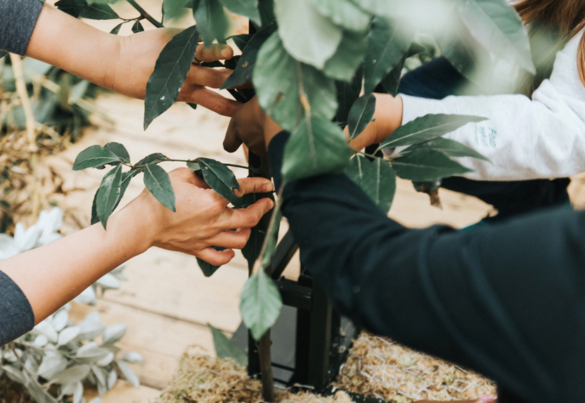 Strength & Stem arranging plants